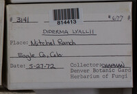 Image Associated With the Occurence